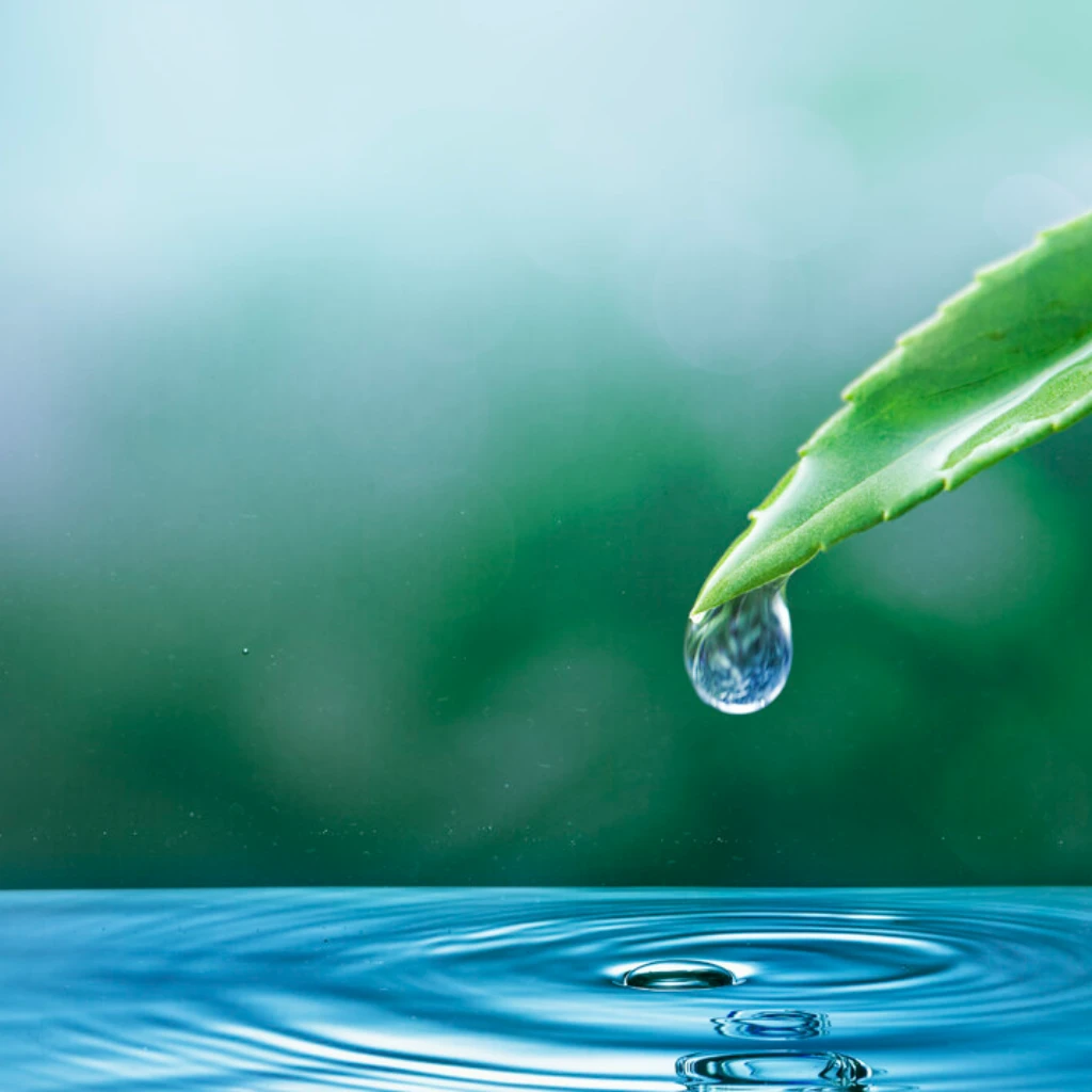 Distributori d&#039;acqua