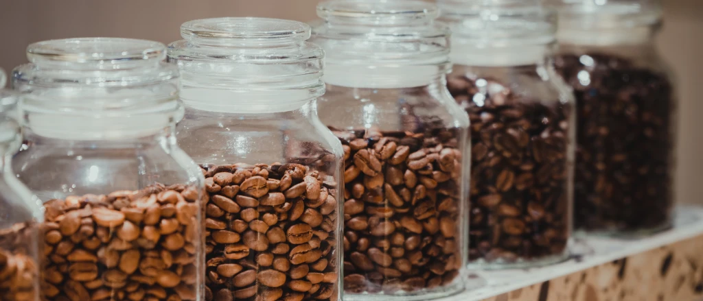 PR Bonen in potten.jpg