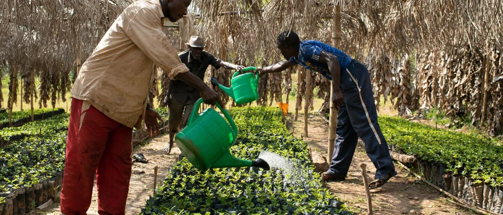 Large-Selecta Coffee Fund 2020 003.jpg