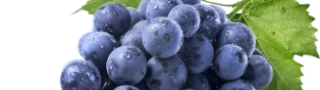 grapes