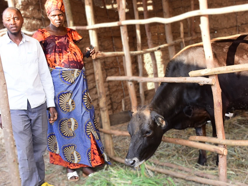 rwanda - cow with family.png