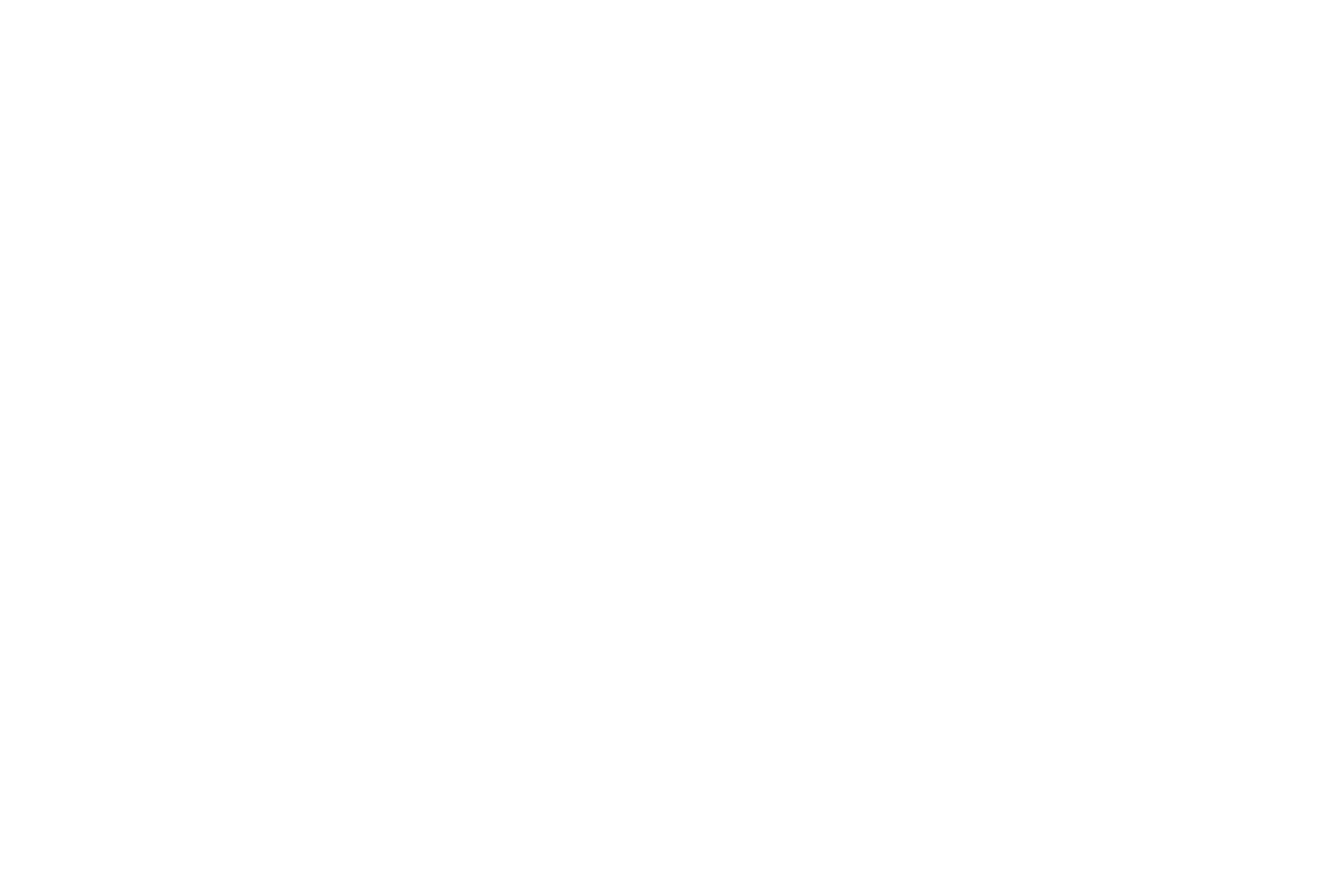 zoegas_solution_text_logo.png