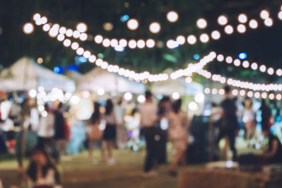 Large-Festival Event Party with Hipster People Blurred Background 1-min.jpg